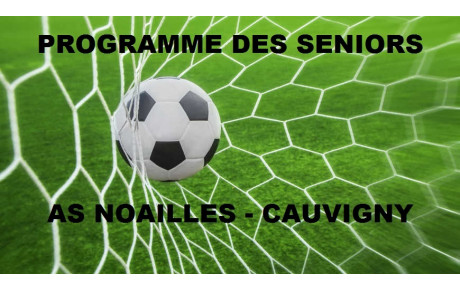 Suite du programme d'avant saison des Séniors 