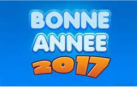 Le mieux possible pour 2017