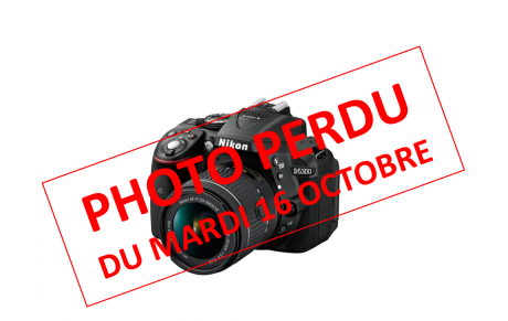 !!! PHOTO DU MARDI 16 OCTOBRE !!!