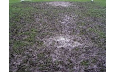 Remise partielle des matchs du 1 er Décembre