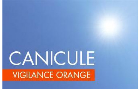 Communiqué Alerte Canicule