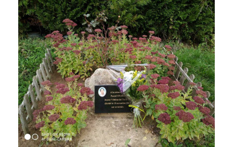 10 ans... L'ASNC n'oublie pas Pascal Sturm