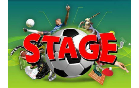 Stage d'été à l'ASNC !